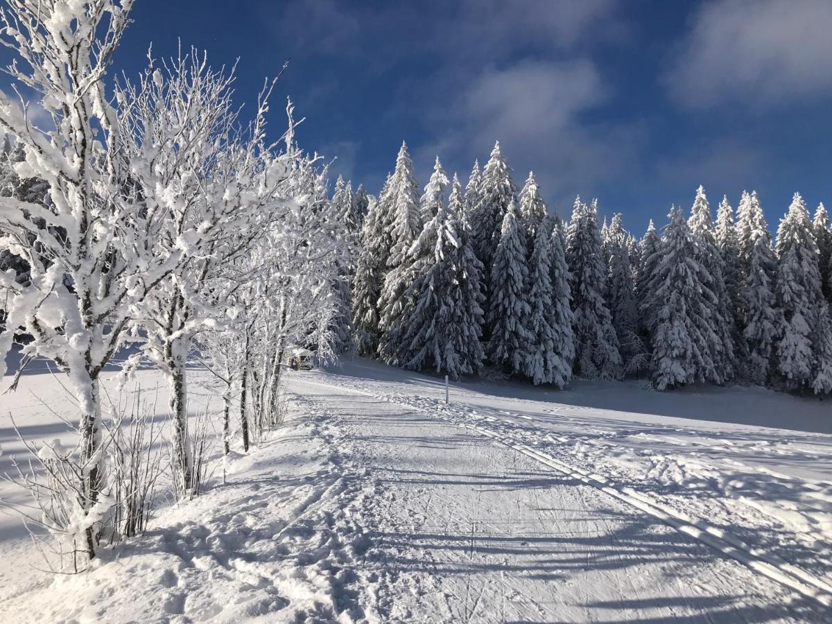 Hoehengasthaus Kolmenhof An Der Donauquelle Фуртванген Экстерьер фото