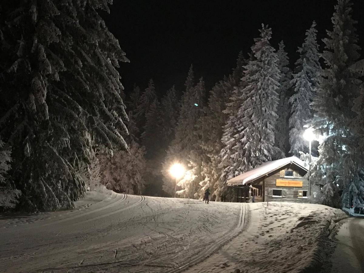 Hoehengasthaus Kolmenhof An Der Donauquelle Фуртванген Экстерьер фото