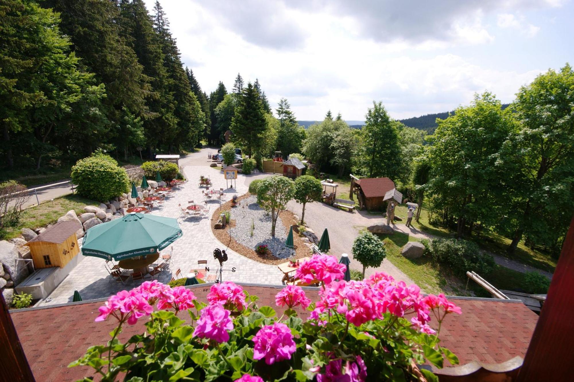 Hoehengasthaus Kolmenhof An Der Donauquelle Фуртванген Экстерьер фото