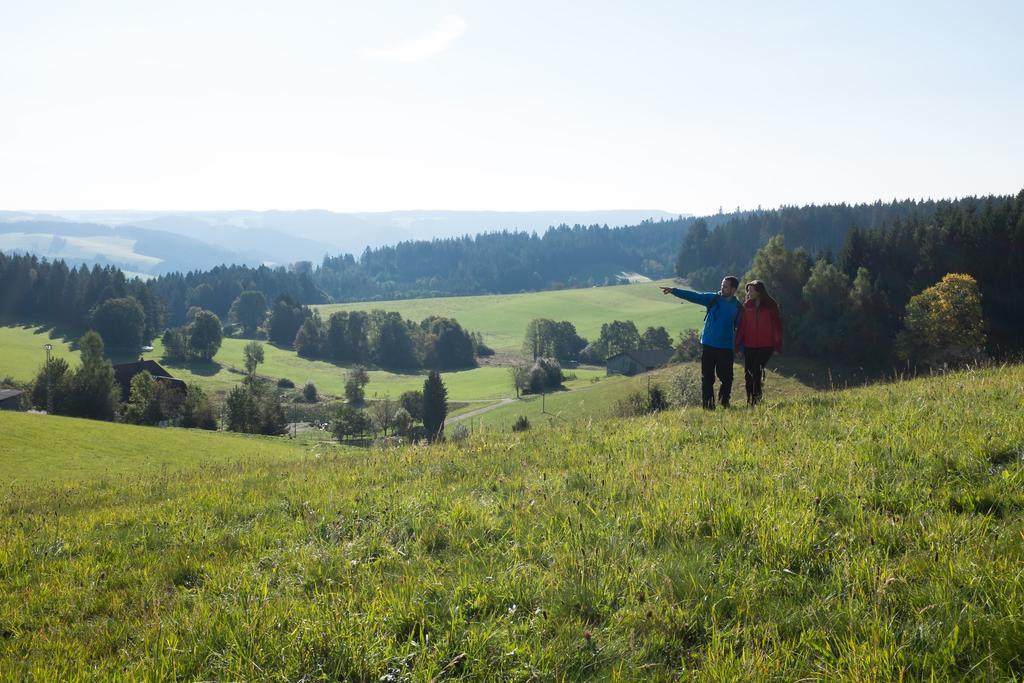 Hoehengasthaus Kolmenhof An Der Donauquelle Фуртванген Экстерьер фото